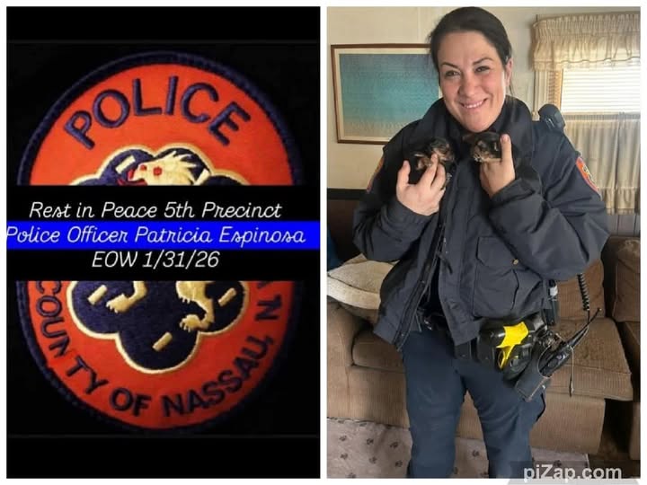 Patricia Espinosa, Car Accident Death: Off-duty Nassau police officer killed in Nesconset Highway crash